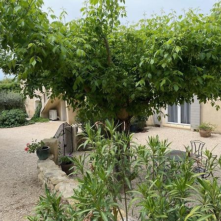 カドネ Bastide Provencaleヴィラ エクステリア 写真